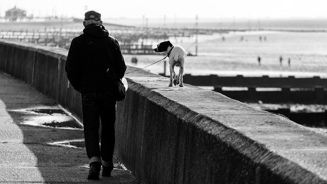 procházka se psem na pobřeží